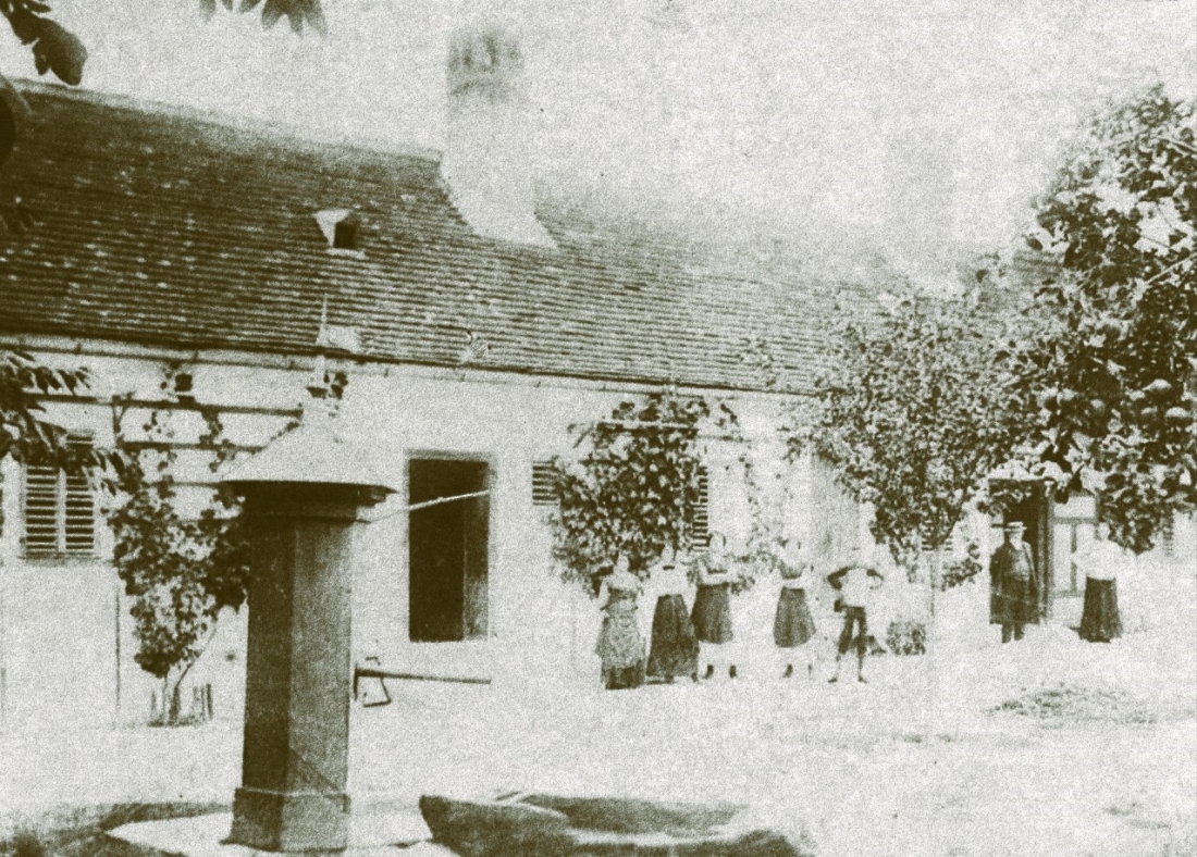 Wohnhaus OW 142 / Schlainigerstraße 2