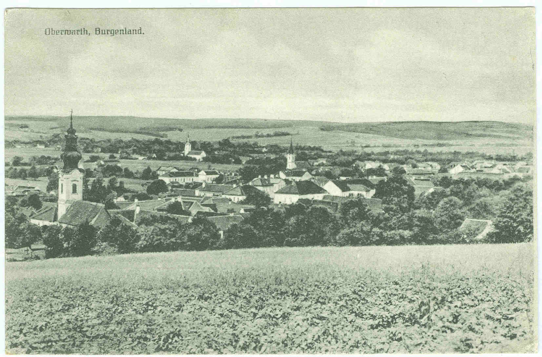 Ansichtskarte:  Oberwart - Blick auf die Synagoge und die drei Kirchen
