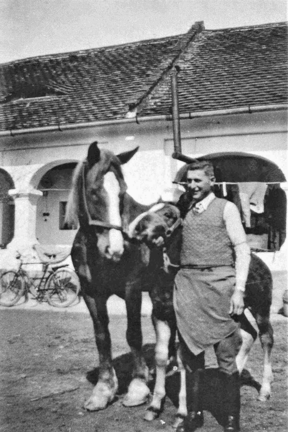 Ludwig Pongracz (*1920/+1942 in Russland) mit Fohlen und Mutterpferd - OW 23 / Steinamangererstraße 127
