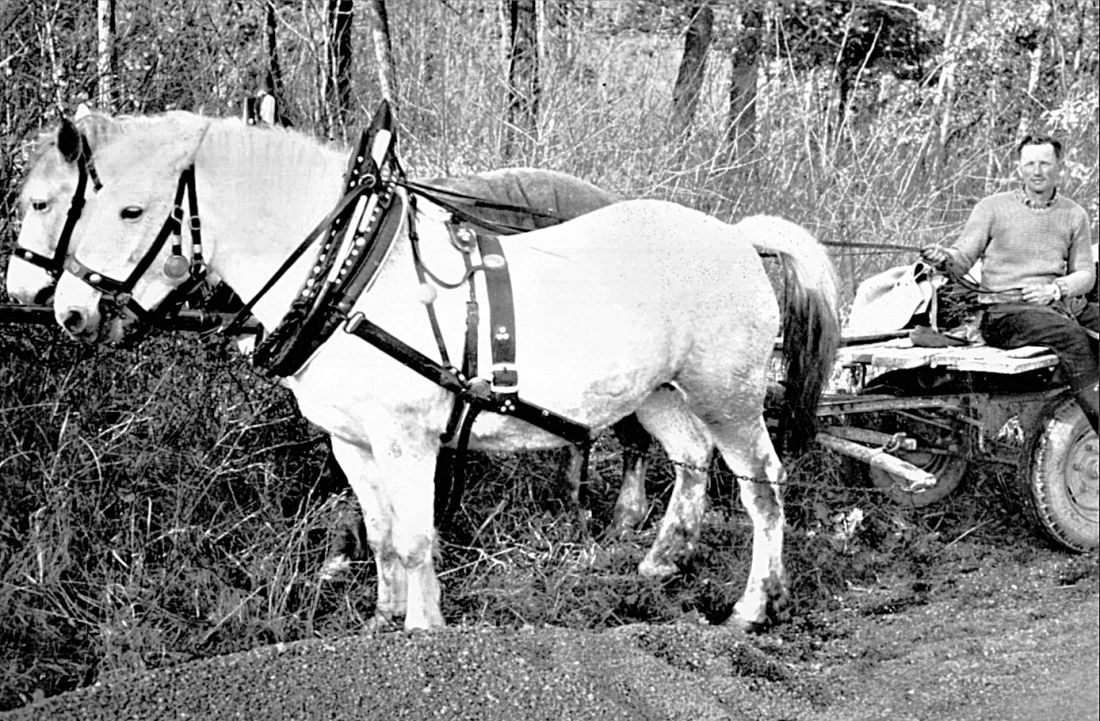 Landwirt Michael Böcskör mit seinem Pferdegespann beim Anliefern von Baumaterial für das Haus Dellacher