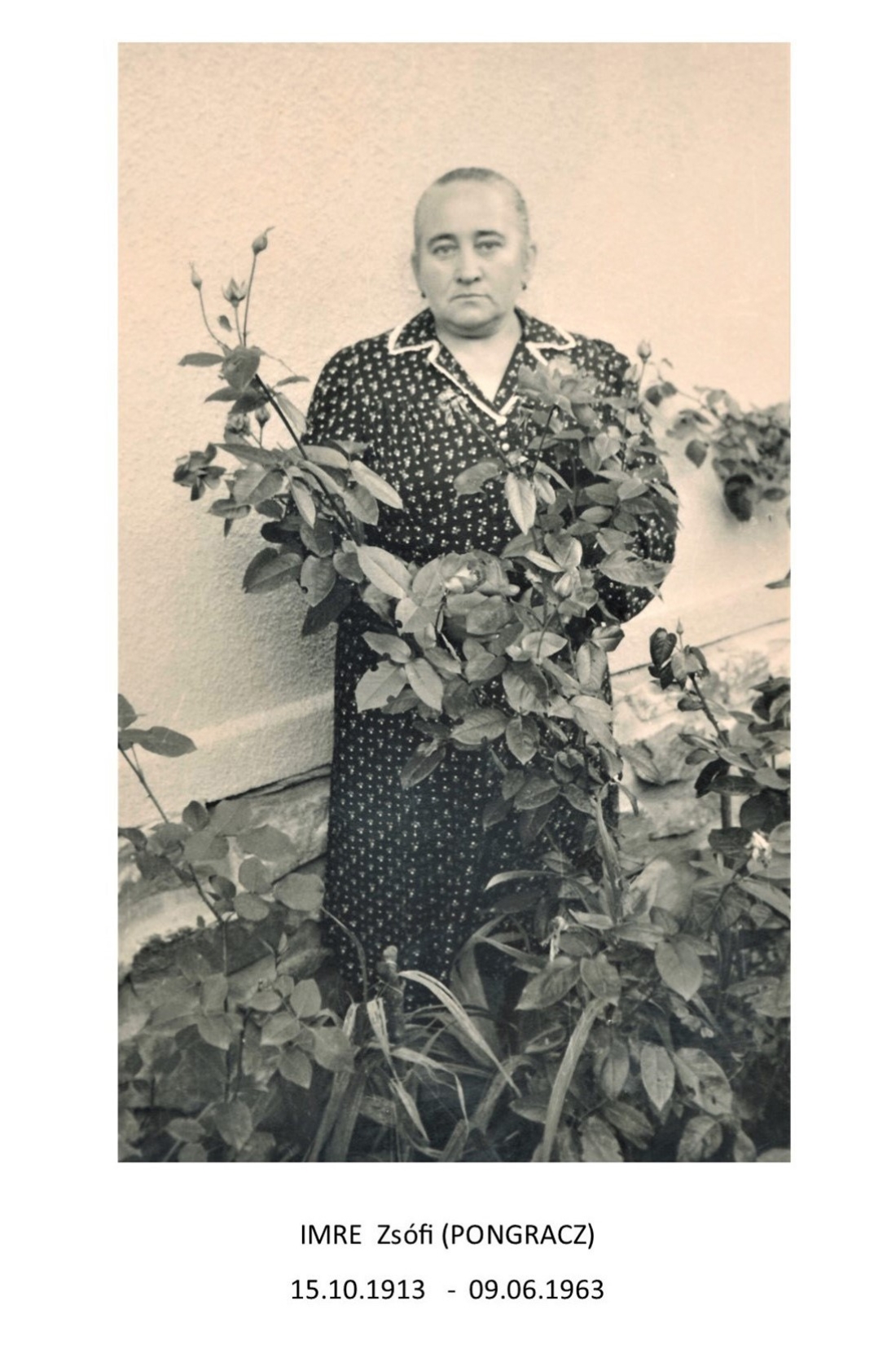 Zsofi Imre (geb. Pongracz, *1913/+1963) - Reihergasse 7 - Portrait