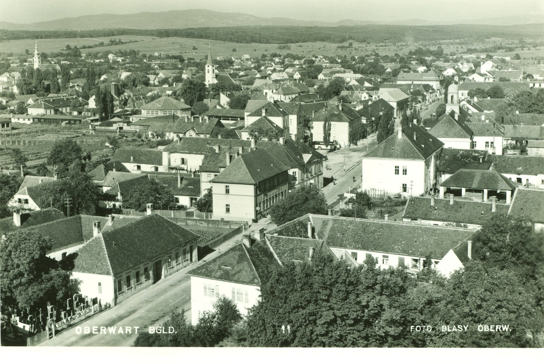 Ansichtskarte: Blick vom Turm der röm. kath. Kirche gegen Westen
