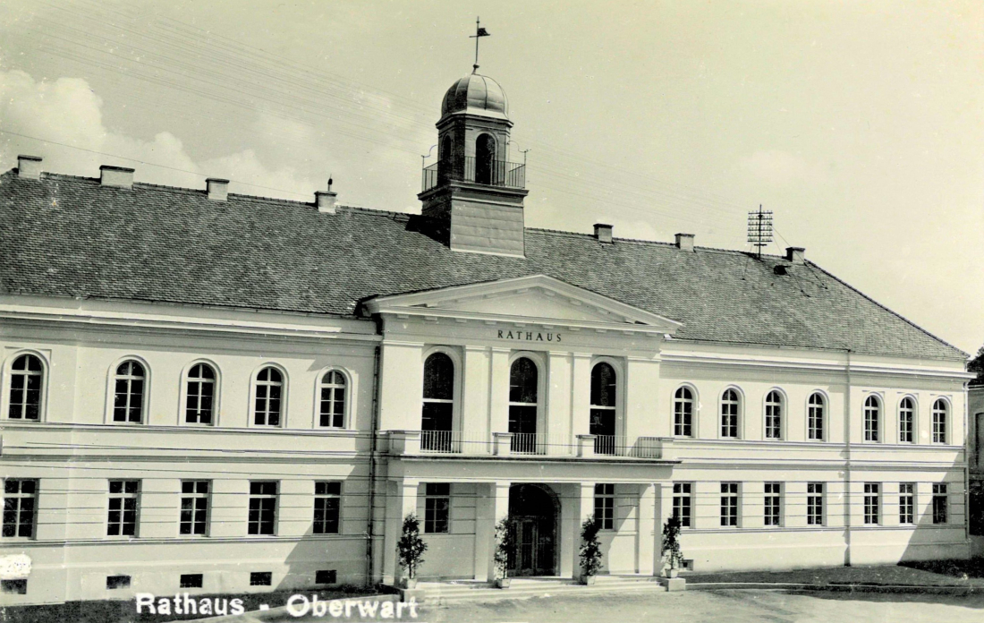Stadtgemeinde: Rathaus - Das wiederaufgebaute und neueröffnete Rathaus