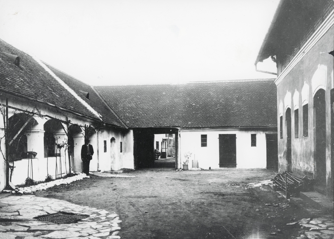 Firma Fliegenschnee (Wienerstraße 14)