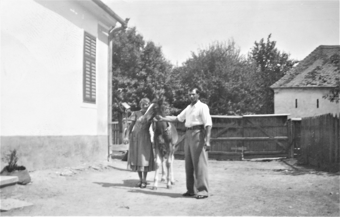 Julianna Benkö (verh. Faith) und Gyula Faith mit "Mitzi", dem Fohlen des Hauses - Grazerstraße 96