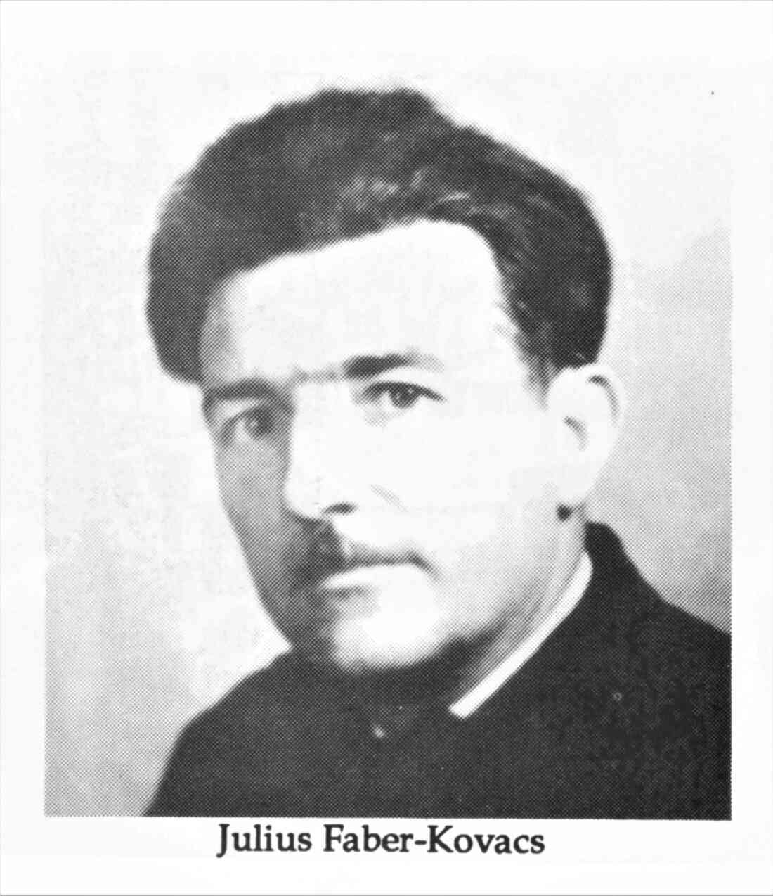 Reformierte Pfarrgemeinde: Pfarrer Julius Faber Kovacs (*1910/+1954) - Portrait