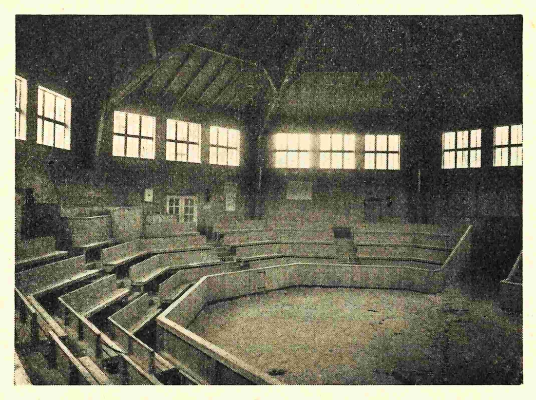 Innenraum der Rotunde (Hauptplatz 8f)