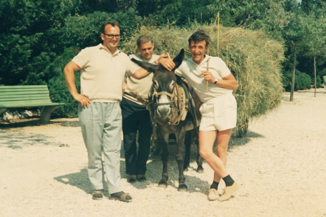 Familienurlaub in Jugoslawien/Istrien: drei Herren mit Eselsgespann - Graf/Wagner/Steurer
